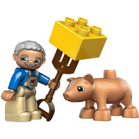 Конструктор LEGO 5643 Legoville Little Piggy