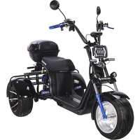Электроскутер SkyBoard Trike BR60-3000 Pro Fast SKY0001501 (черный)