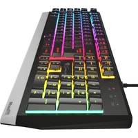 Клавиатура Genesis Rhod 300 RGB