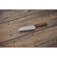 Кухонный нож Victorinox 6.9050.17J20