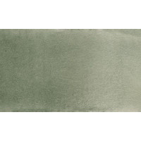 Акварельная краска Vista-Artista VAW (2.5 мл, 638 серо-зеленый)