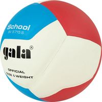 Волейбольный мяч Gala School 12 BV 5715 S (размер 5, белый/красный/голубой)