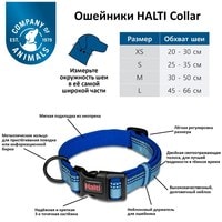 Ошейник Halti Collar M (голубой)