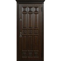Металлическая дверь Стальная Линия Спарта для квартиры 100 (дуб темный с черной патиной)