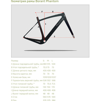 Велосипед Borant Phantom GRX800 L 2022 (черный)