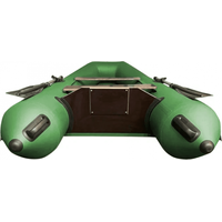 Моторно-гребная лодка RiverBoats 300 супер лайт П (зеленый)