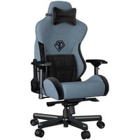 Кресло AndaSeat T-Pro 2 (голубой/черный)
