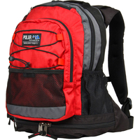 Городской рюкзак Polar П178 (красный)