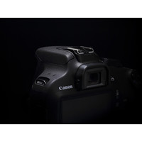 Зеркальный фотоаппарат Canon EOS 1200D Kit 50mm f/1.8