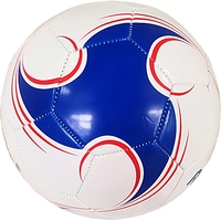 Футбольный мяч RGX RGX-FB-1701 (5 размер, белый/синий)