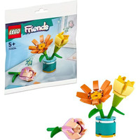 Конструктор LEGO Friends 30634 Уникальные наборы. Букет цветов