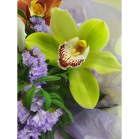 Цветы, букеты LaRose Букет с орхидеей Мотыльки