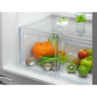 Холодильник Electrolux ENT6TF18S