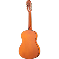 Акустическая гитара Homage LC-3600