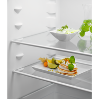 Однокамерный холодильник Electrolux LRB2AE88S