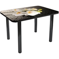 Кухонный стол Solt №20 120x80 (кромка черная/ноги черные)
