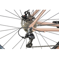 Велосипед Stark Gravel 700.2 D р.22 2023 (бронзовый/черный)