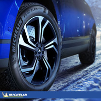 Зимние шины Michelin Pilot Alpin 5 SUV 255/45R21 106V
