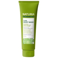  Evas Гель для душа Naturia Pure Body Wash Wild Mint & Lime 100 мл