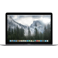 Ноутбук Apple MacBook (2015 год) [MJY32]