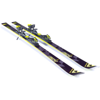 Горные лыжи Fischer RC4 Worldcup GS JR. 120-125 [A10516] (2017)