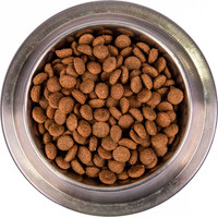 Сухой корм для собак Monge All Breeds Puppy & Junior Monoprotein Beef with Rice (для щенков всех пород с говядиной и рисом) 2.5 кг