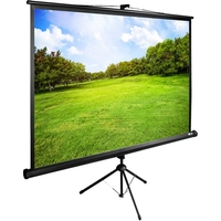Проекционный экран CACTUS TriExpert 200x150 CS-PSTE-200х150-BK