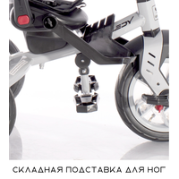Детский велосипед Lorelli Speedy 2021 (серый)