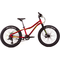 Детский велосипед Merida Matts J20+ Pro 2022 (красный)