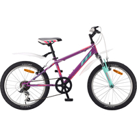 Детский велосипед Racer Turbo 20 (фиолетовый, 2017)