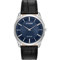 Наручные часы Citizen AR3070-04L