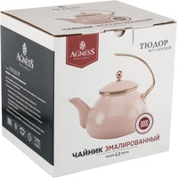 Чайник без свистка Agness Тюдор 950-288