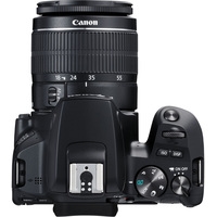 Зеркальный фотоаппарат Canon EOS 250D Kit 18-55 f/3.5-5.6 III (черный)