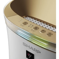 Очиститель воздуха Sharp UA-PG50E-W