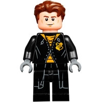 Конструктор LEGO Harry Potter 75946 Турнир трех волшебников