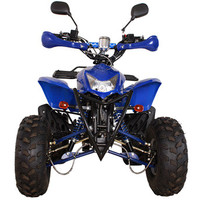 Квадроцикл Avantis Termit Lux 125 Blue