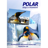 Фотобумага Polar A4O1016100 цветная оранжевая A4, 80 г/м2, 100 л