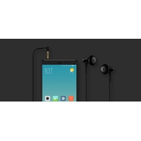 Наушники Xiaomi Dual Driver Earphones (черный)