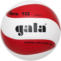 Волейбольный мяч Gala Bora 10 BV5671S (5 размер)