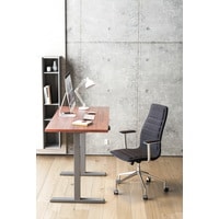 Стол для работы стоя ErgoSmart Electric Desk Compact 1360x800x36 мм (альпийский белый/черный)