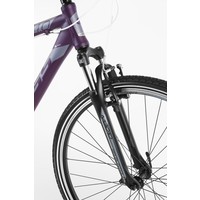 Велосипед Kross Evado 1.0 M violet matte (2016)