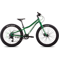 Велосипед Merida Matts J24+ Pro 2023 (зеленый)