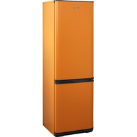 Холодильник Бирюса T360NF (оранжевый)