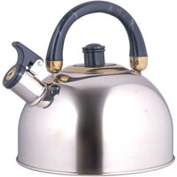 Чайник со свистком Rainstahl RS-7550-35