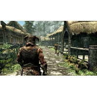  The Elder Scrolls V: Skyrim Anniversary Edition для PlayStation 4