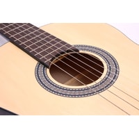 Акустическая гитара Aileen ACG160