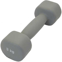 Гантель SportElite ES-0393 3 кг (серый)