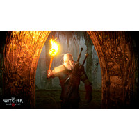 Компьютерная игра PC Ведьмак 3: Дикая Охота. Коллекционное издание