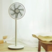 Вентилятор SmartMi Standing Fan 2S ZLBPLDS03ZM (международная версия)