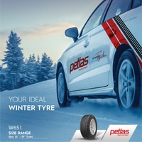 Зимние шины Petlas SnowMaster W651 215/55R17 98V